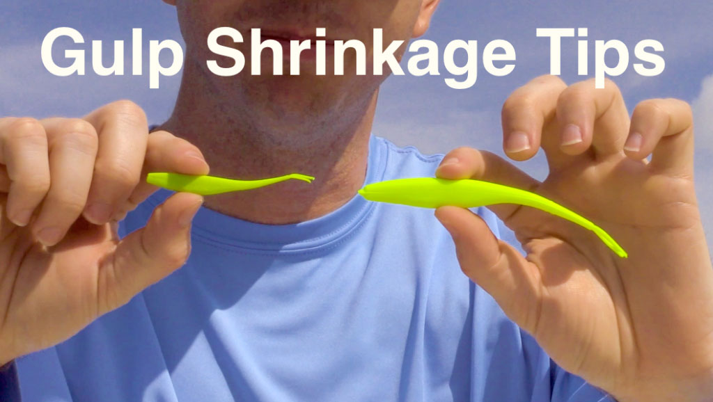 How to Maintain Your Berkley Gulp Baits for Maximum Fish Catching