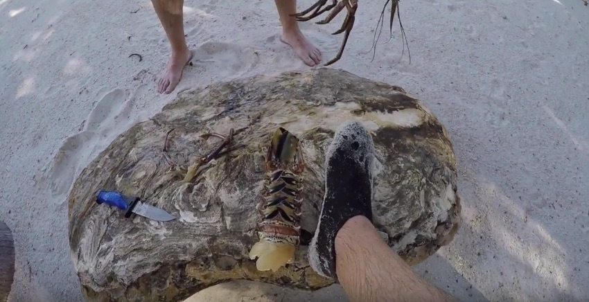 islamorada lobster trip