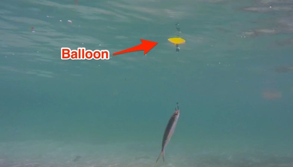 http://www.saltstrong.com/wp-content/uploads/balloon-fishing-1024x584.jpg