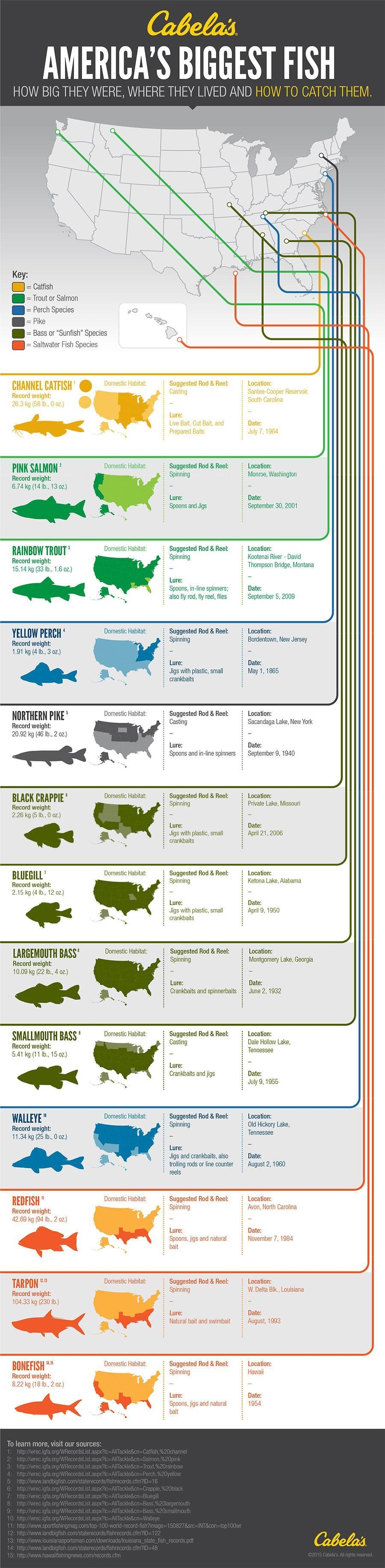 biggest fish in america