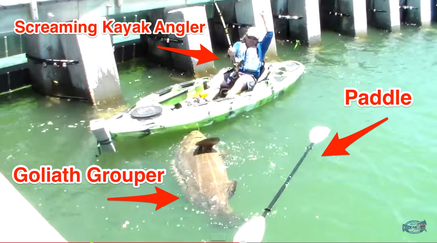 Goliath Grouper Snaps Kayaker's Rod And He Still Lands It!