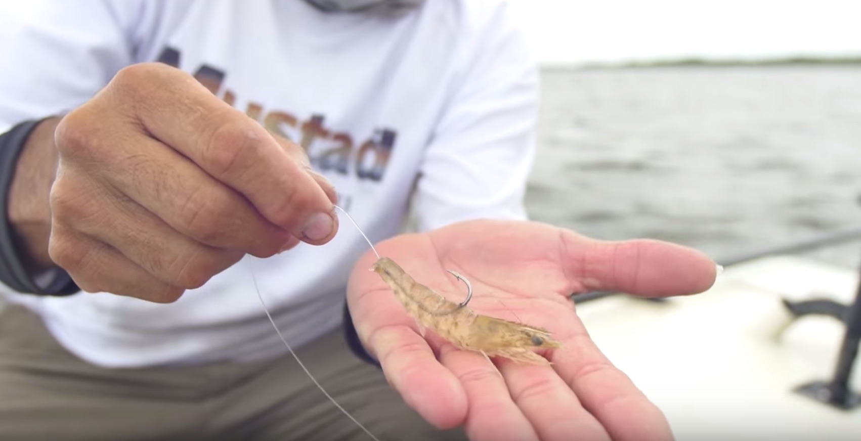 Rigging Live Shrimp In The Head vs. Tail (Best Way To Rig Shrimp) 