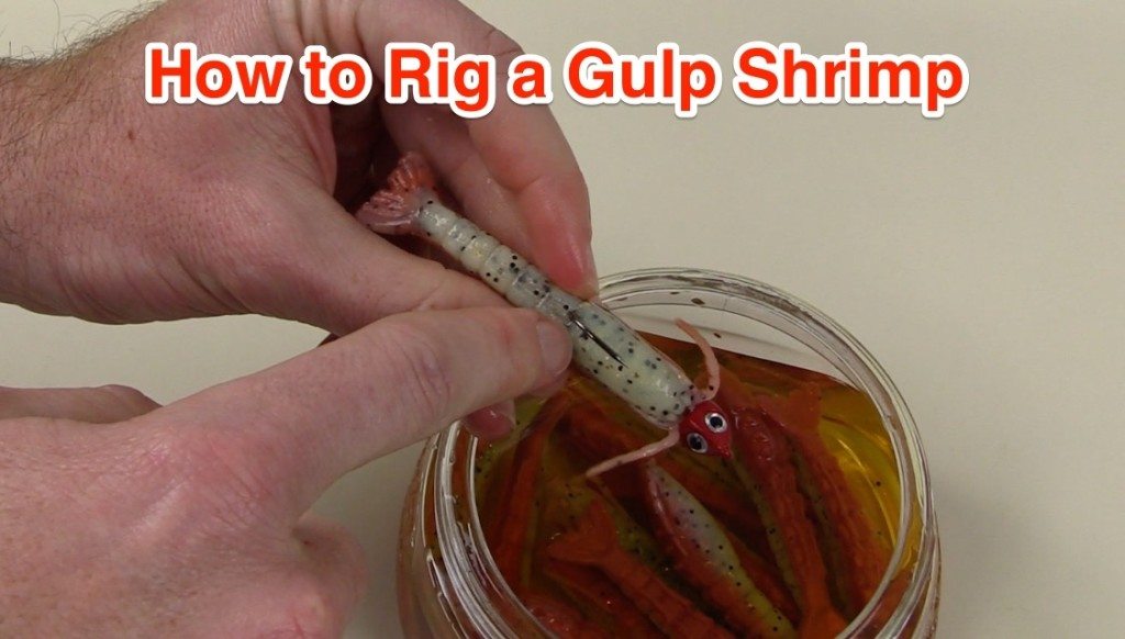 how to rig a gulp shrimp