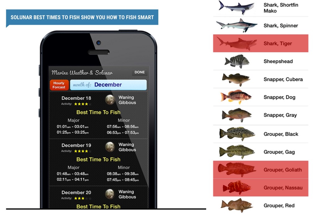 free fishing apps