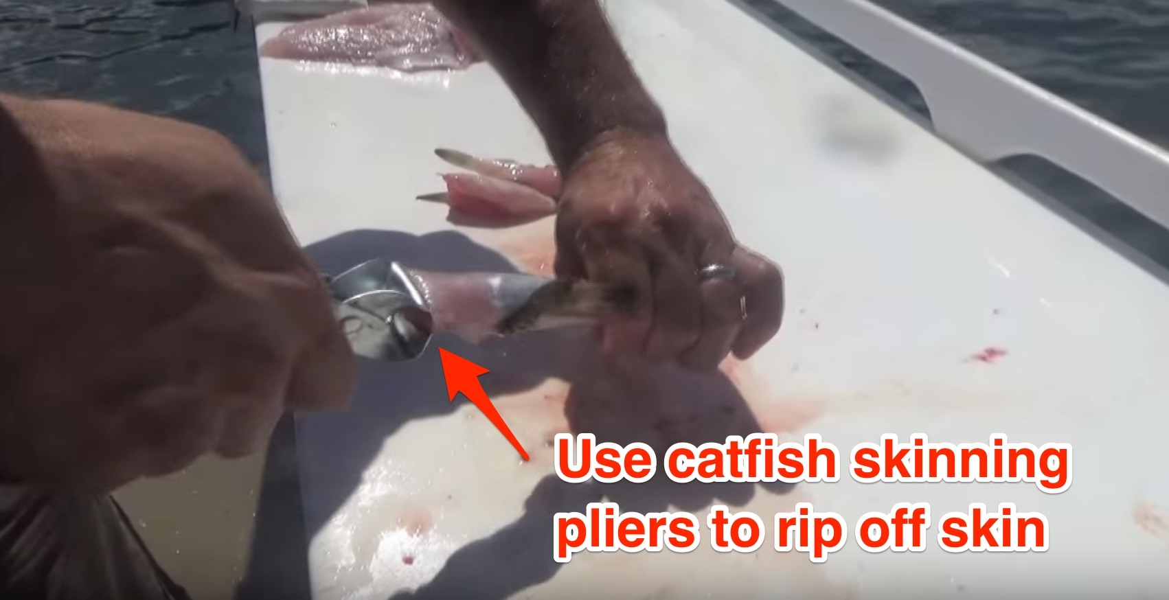 how to clean pufferfish