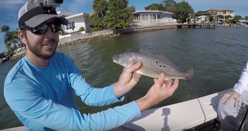 how to catch redfish in high winds