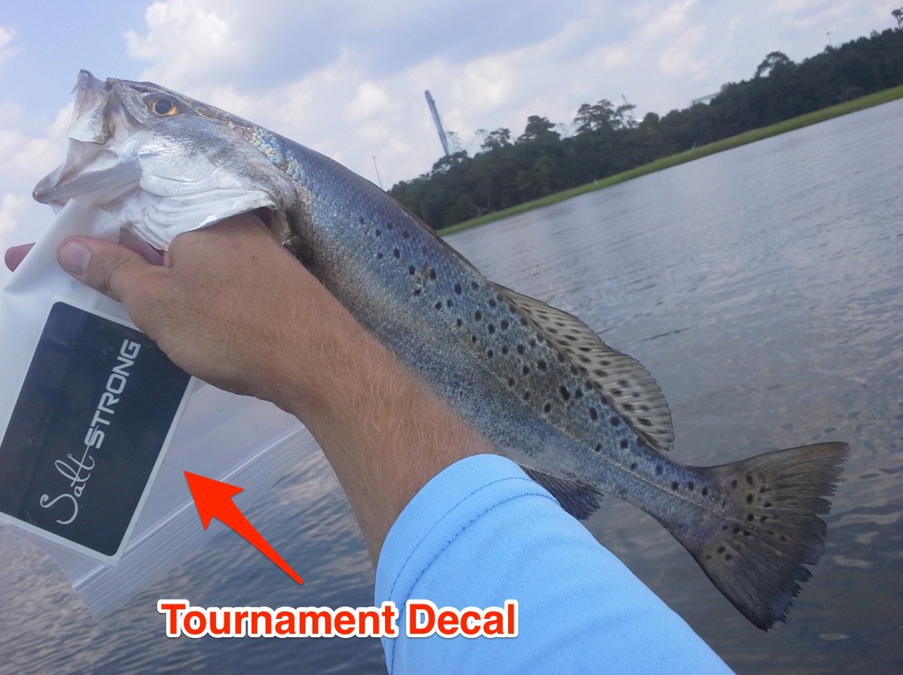 best online fishing tourament