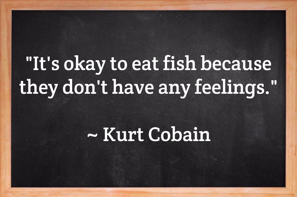 50 Amazing Fishing Quotes From Celebrities & Athletes