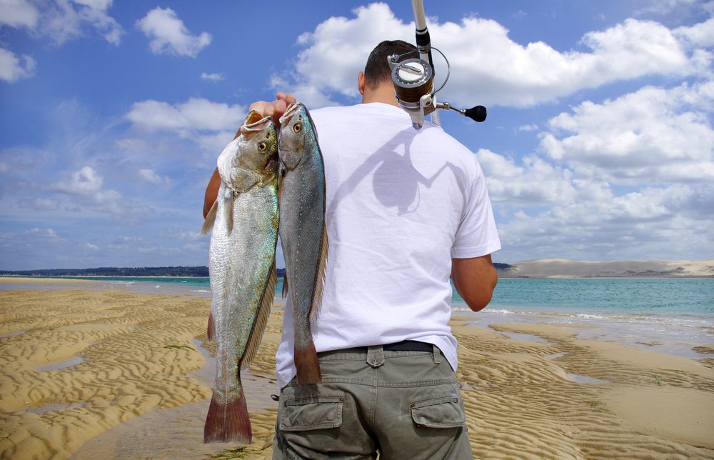 Top 10 Reasons A Fishing Guide Could Be The Best Job On The