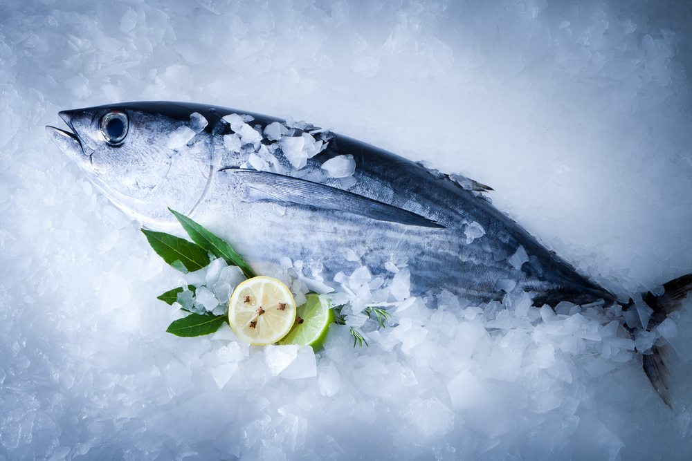 albacore tuna high in mercury