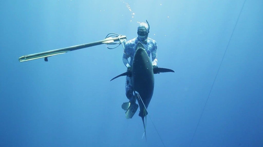 cameron kirkconnell spearfishing