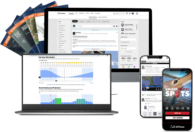Smart Spots App Image