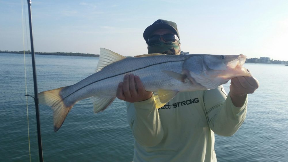 how to hold and release a snook