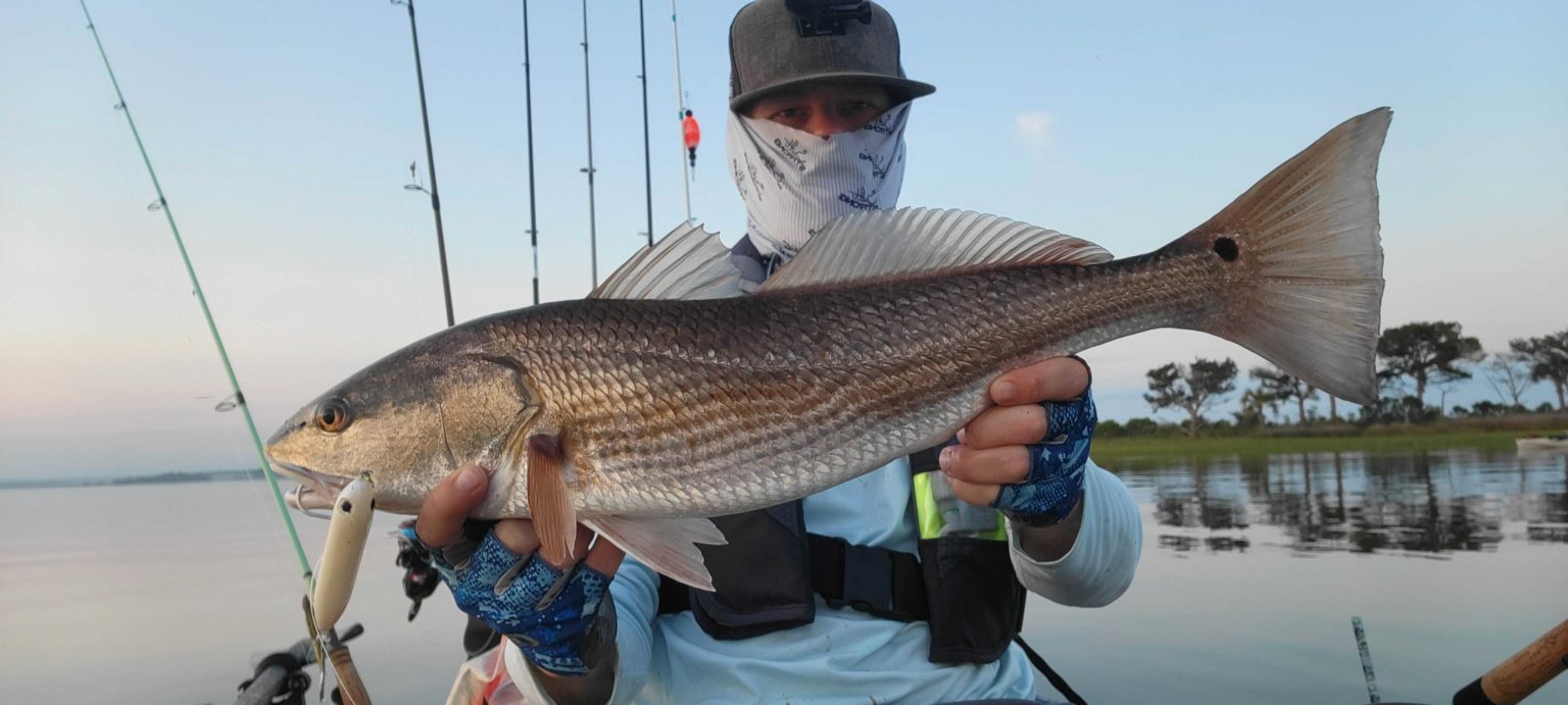 Use THIS Shallow Water Lure Retrieve To Catch More Fish