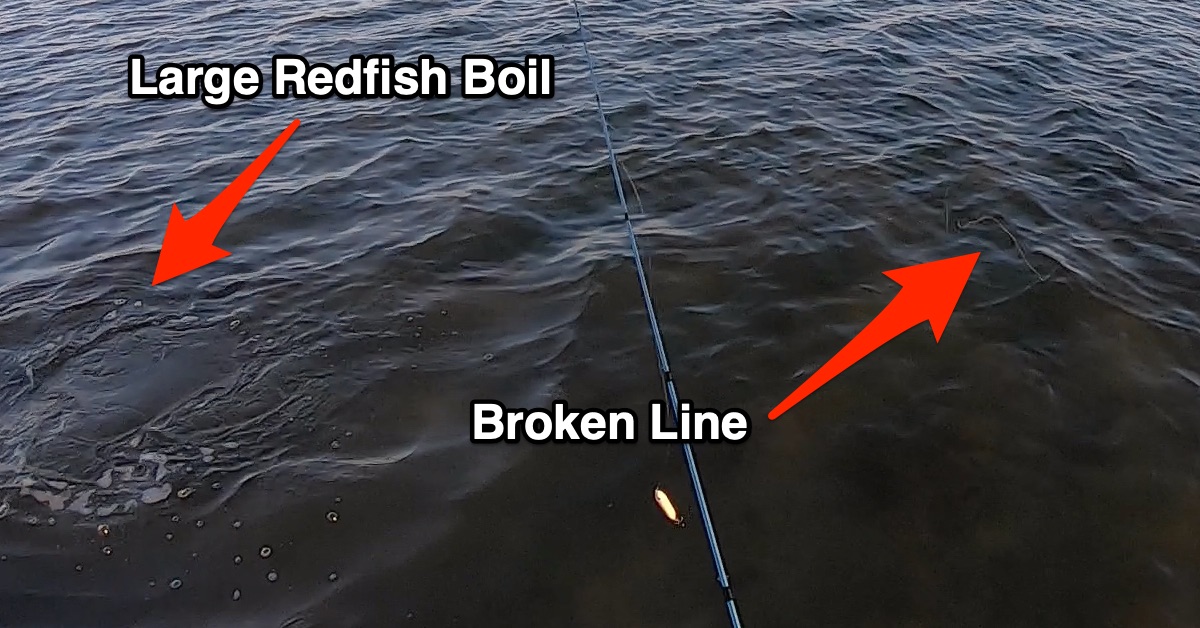 How To Avoid A Big Redfish Breaking Your Line At The Bail