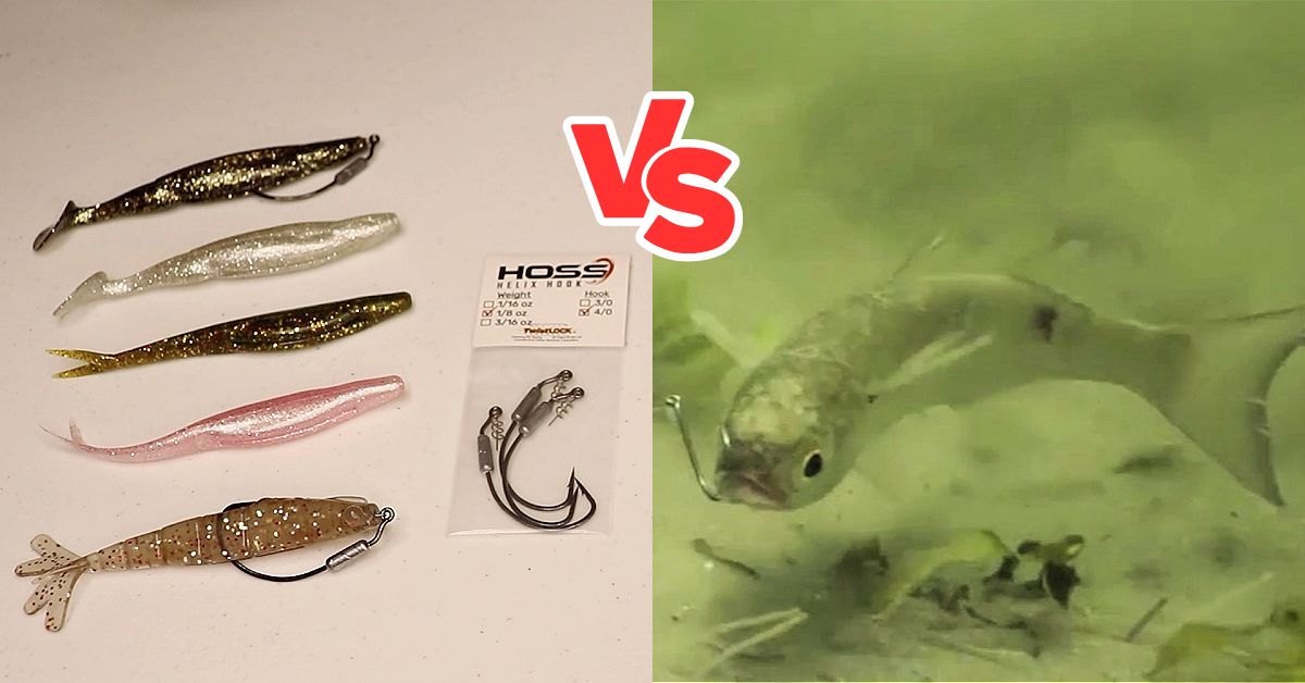Live Bait vs Lures (shocking tournament results)
