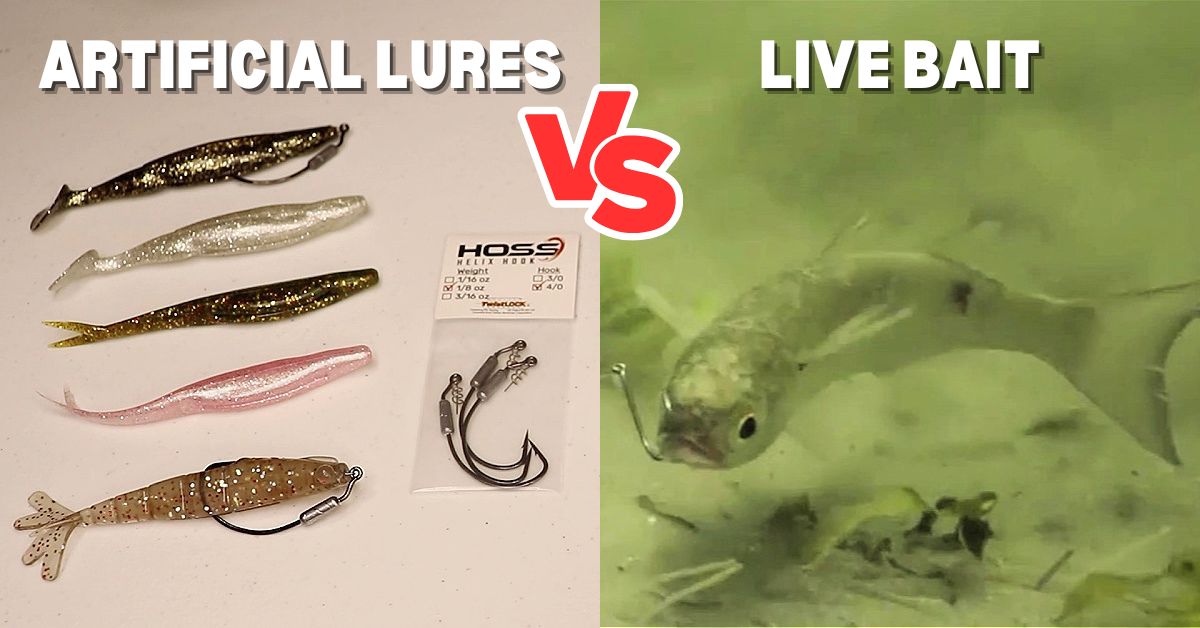 Why LURES Trump LIVE BAIT In This Upcoming Spring Season
