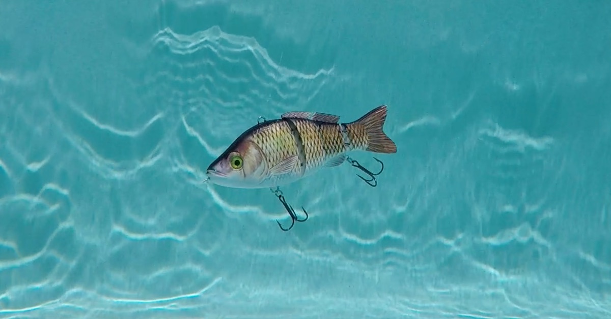 The Animated Lure underwater