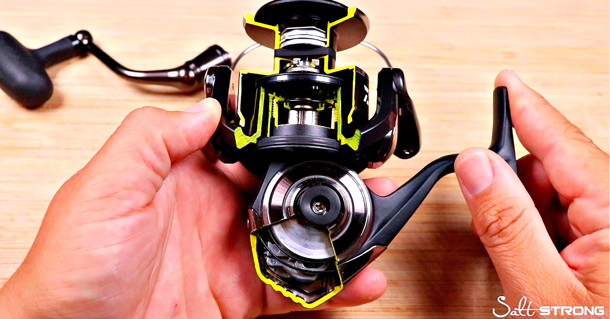 You've Got To See The Inner Workings Of A Sealed Spinning Reel