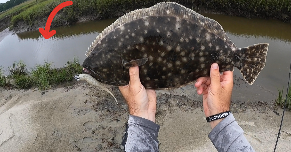 http://Big%20Flounder%20wade%20fishing%20coastal%20creeks