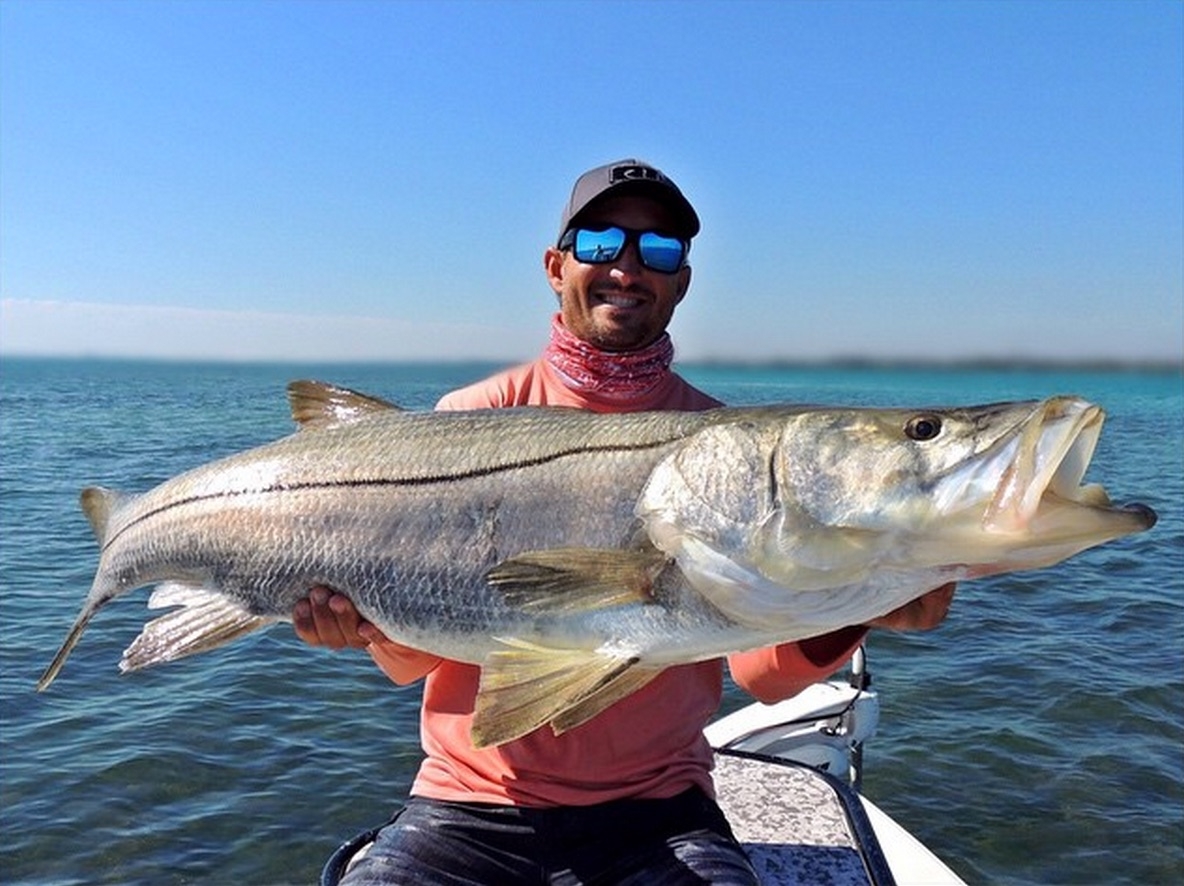 monster snook caught on live bait