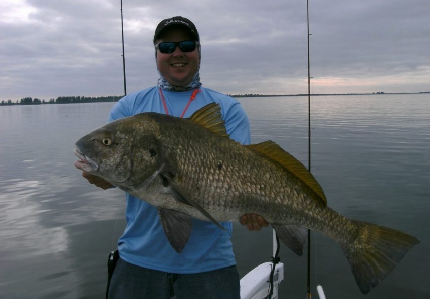 how to hold a black drum