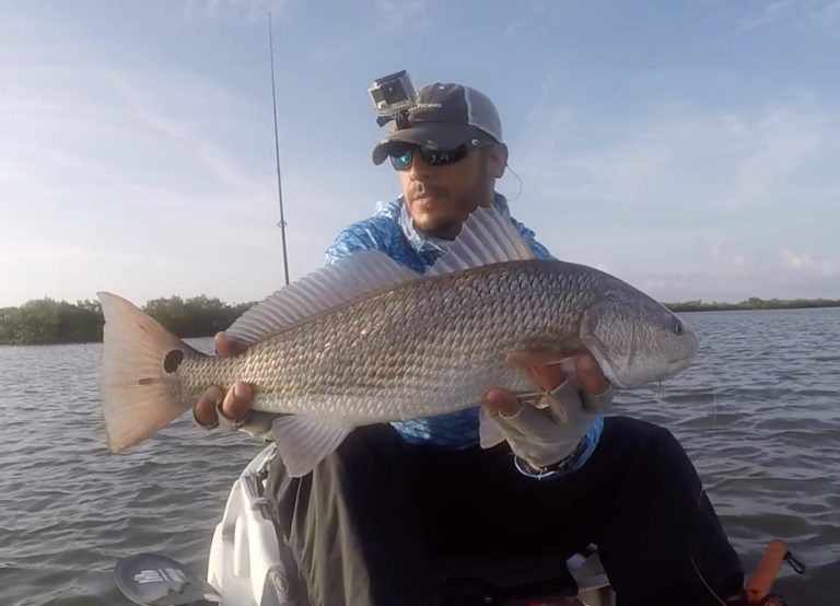 Dead Sticking Tactics For Redfish (Using Gulp Soft Plastics)