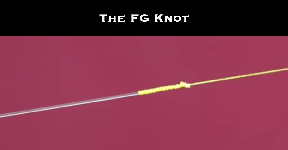 FG Knot