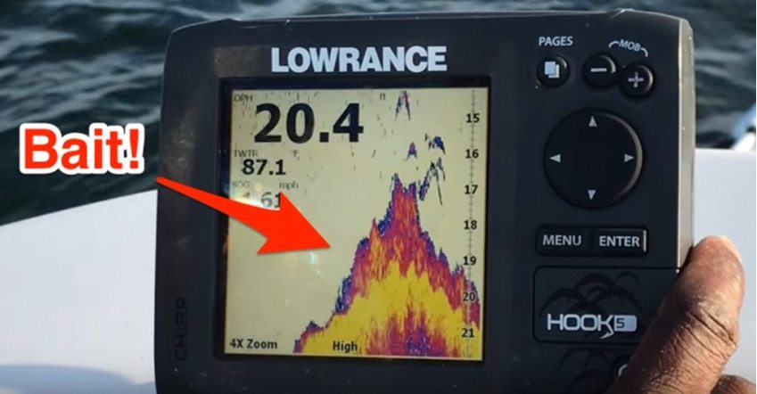 finding bait with a fish finder