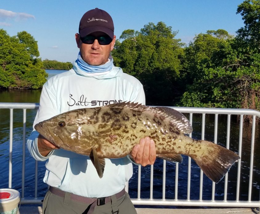 how to hold a grouper