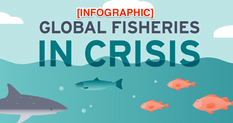 http://why%20global%20fisheries%20are%20in%20crisis%20infographic