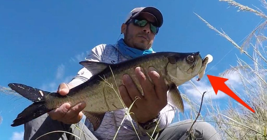 Berkley Gulp Swimming Mullet Review [UNDERWATER FOOTAGE]