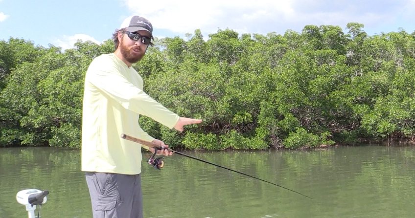 http://how%20to%20skip%20lure%20under%20mangroves