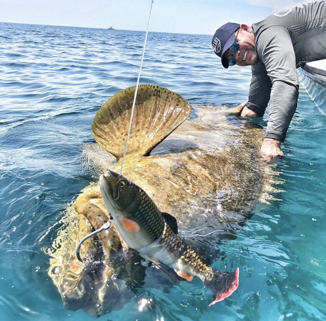 chew on this goliath grouper on lure