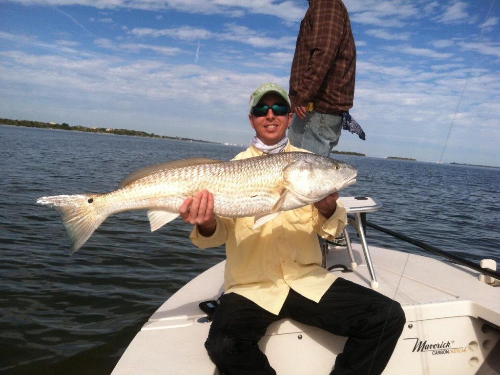 How You Can Catch More Inshore Fish In 3 Hours Guaranteed!