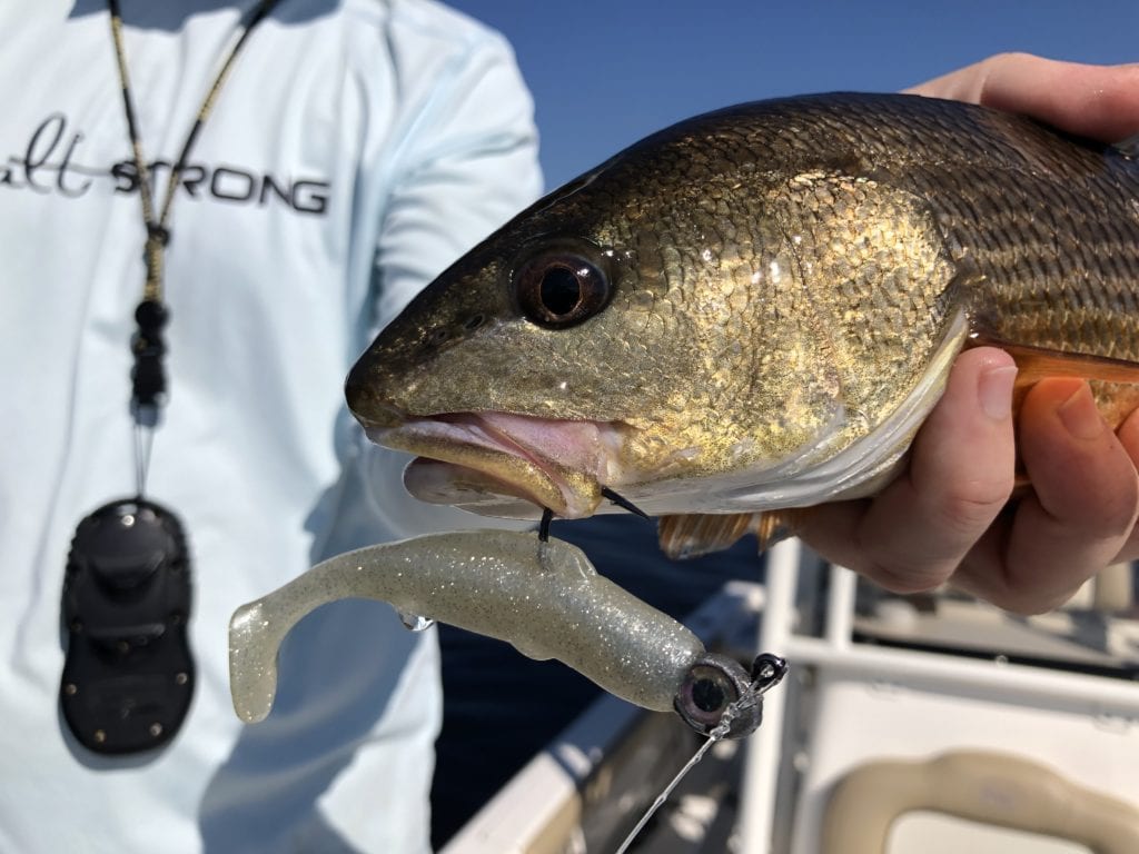 best redfish spots and baits