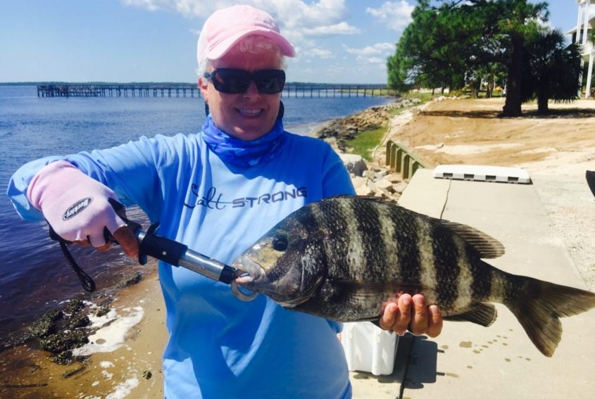 how to hold a sheepshead
