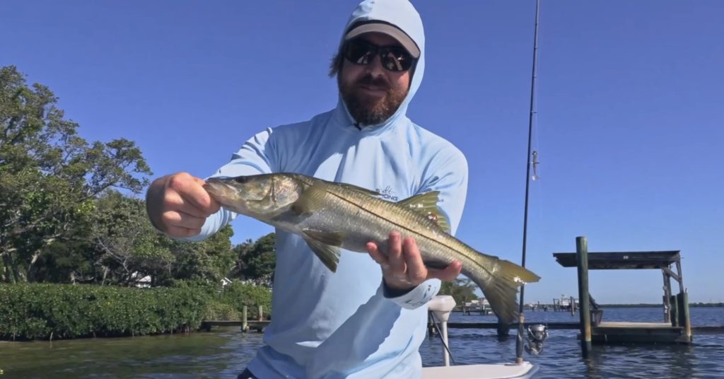 Fun Snook & Cuda Action With New Lure [Manatee River Fishing Report]