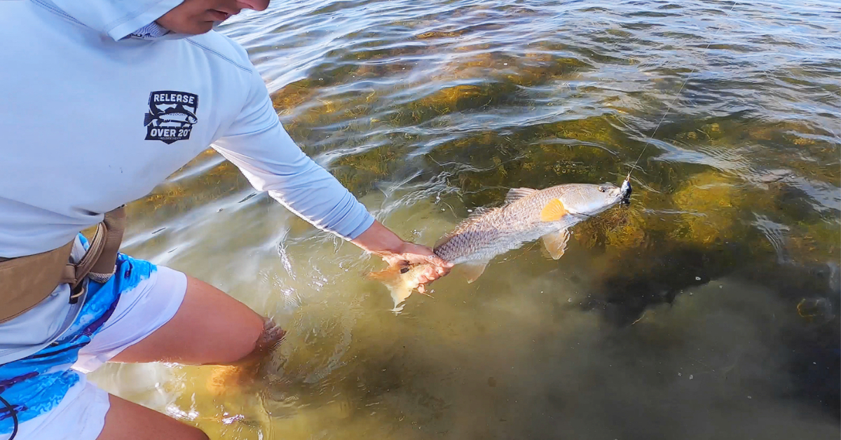 Wading For Redfish At Low Tide (Crazy Sightfishing Action!!!)