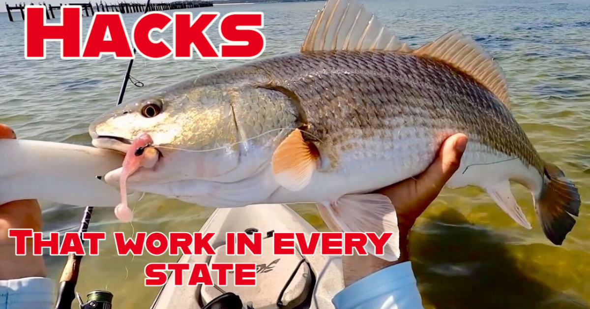 3 Inshore Fishing Hacks I Use To Find Fish In Any State