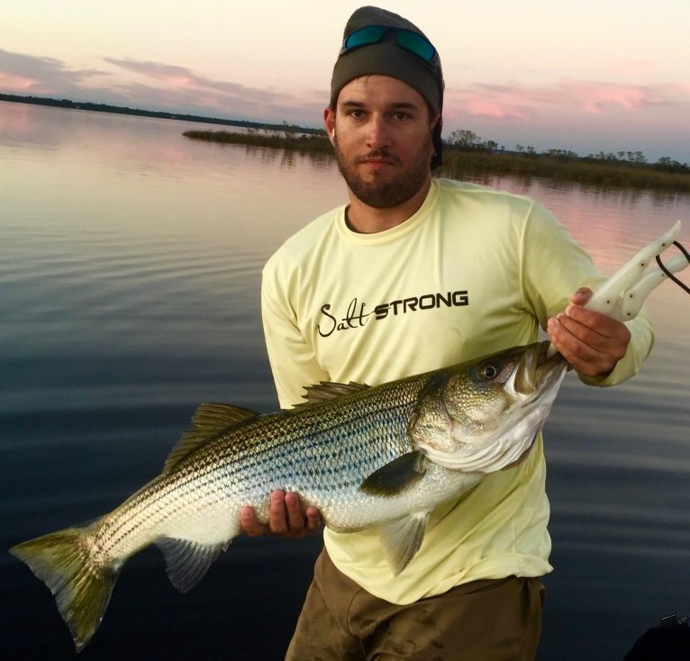 how to hold a striper