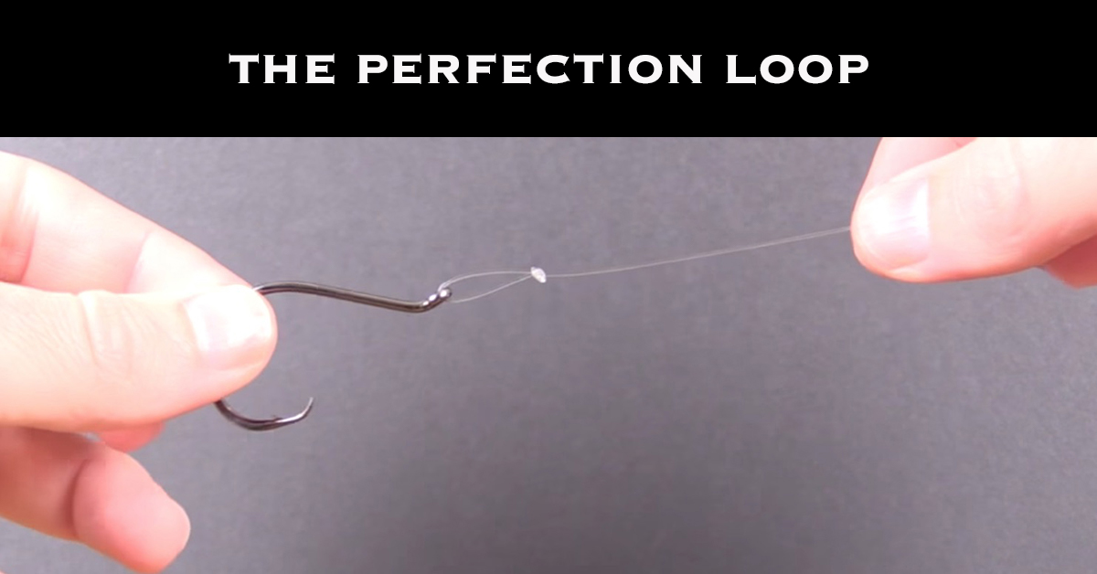 The Perfection Loop