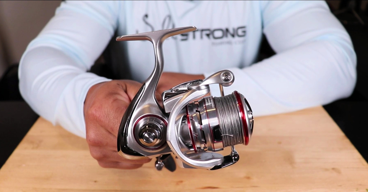 Daiwa Procyon Reel Review: Pros, Cons, & On The Water Action
