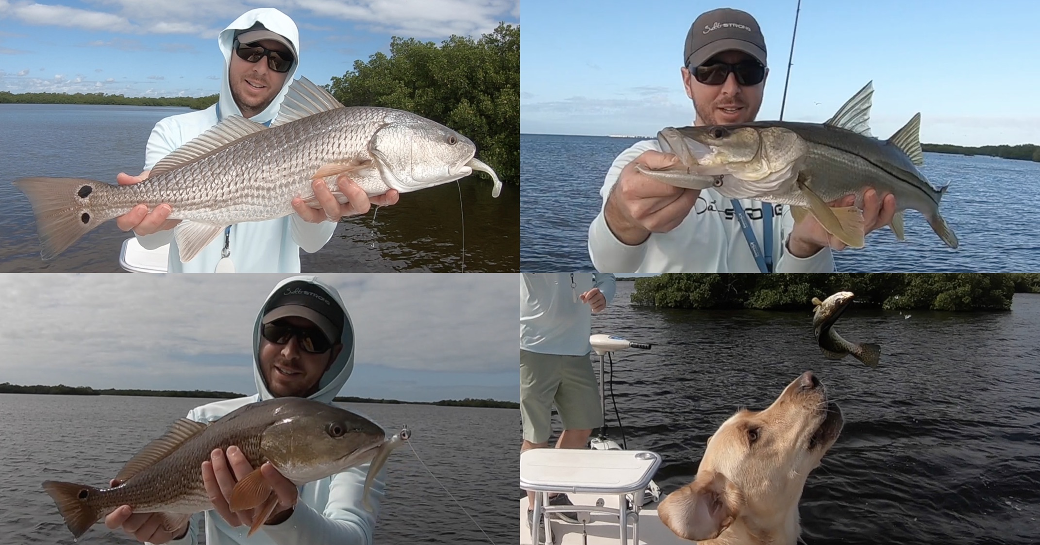 http://tip%20for%20catching%20redfish%20and%20snook