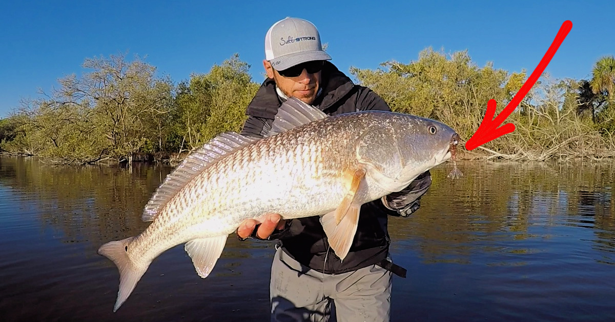 http://Redfish%20School%20Tips%20To%20Catch%20More%20Fish