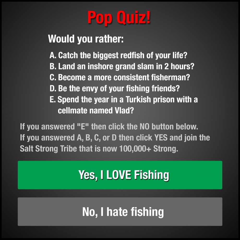 salt strong pop quiz