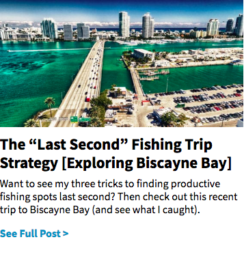 last second fishing trip - Biscayne Bay