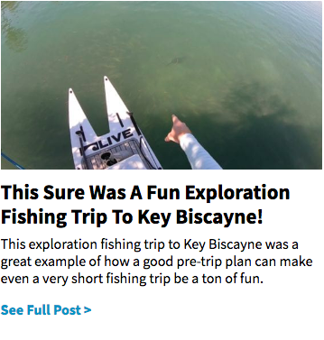 fishing Key Biscayne