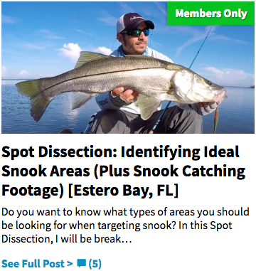 finding snook spots