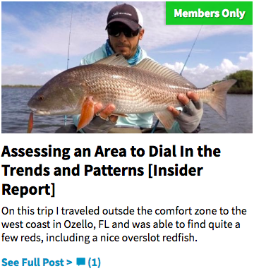 finding winter redfish